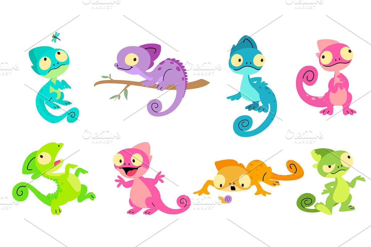 Chameleon. Different salamanders, an Animal Illustration by Valerie Bodnar
