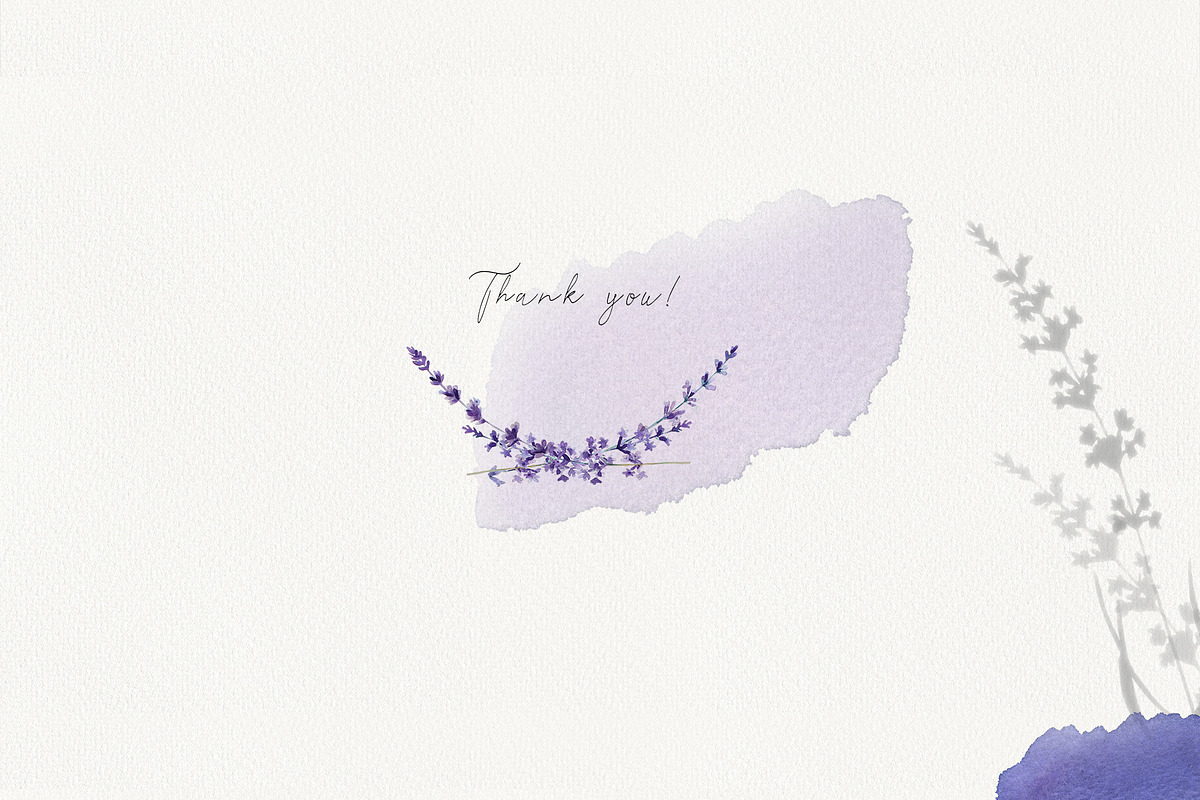 Love Lavender Set, an Illustration by Olga Koelsch (Photo 11 of 11)
