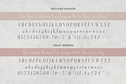 Aesthetic Styles - Tall Serif, a Serif Font by Sarid Ezra (Thumbnail 10 of 11)