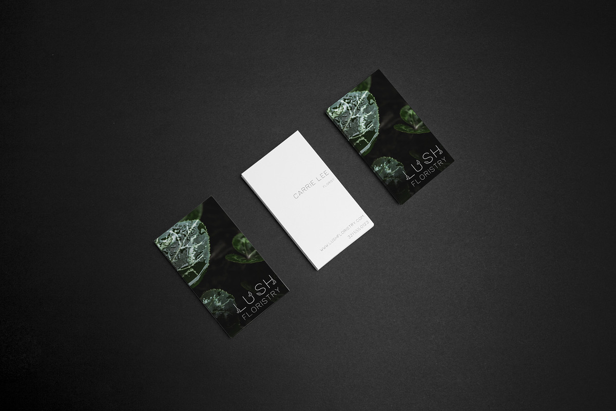 Lush Sans Font with Leaves, a Font by Beck McCormick (Photo 2 of 7)