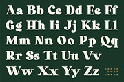 Laurens Soft Serif Display Font, a Serif Font by Letteralle Studios (Thumbnail 10 of 10)