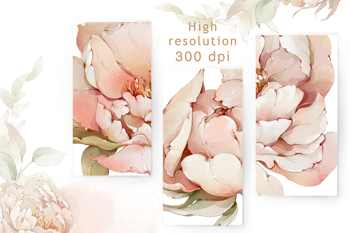 Watercolor flowers summer peony set, a Decorative Illustration by Edith’s World (Photo 4 of 13)