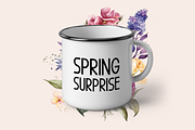 Spring Echoes Typeface, a Sans Serif Font by Seemly Fonts (Thumbnail 3 of 6)