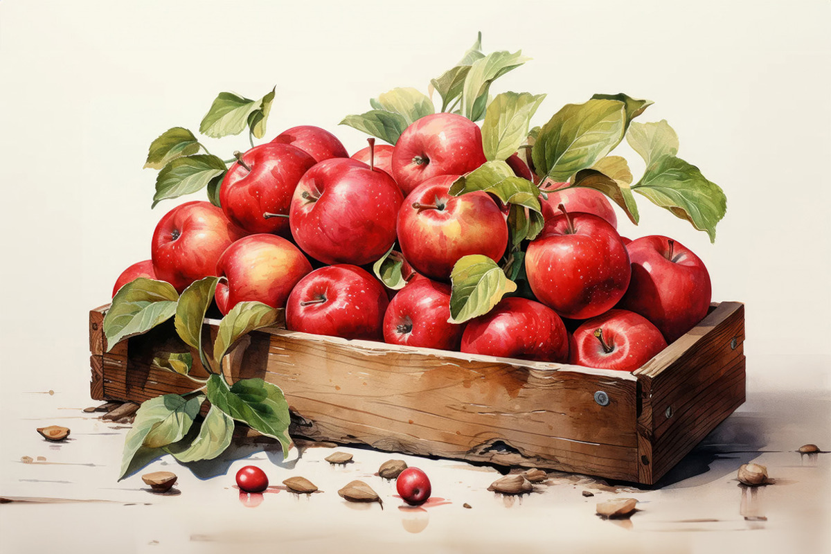Farm-fresh vegetables. 83 images, a Food Illustration by Handmadefont (Photo 12 of 14)