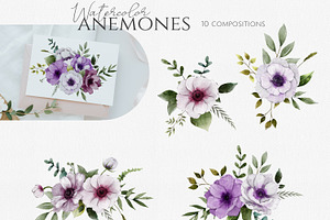 Anemones Watercolor Collection