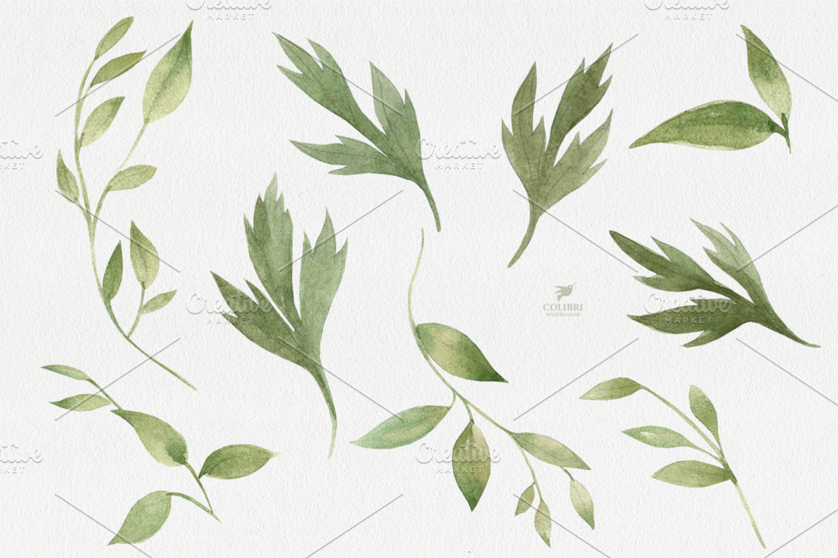 Floral Clipart. Anemones watercolor, an Illustration by Colibri Watercolor (Photo 3 of 3)