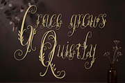 Wanderin Autumn Artisan Floral font, a Script Font by HypeWorksCo (Thumbnail 18 of 28)