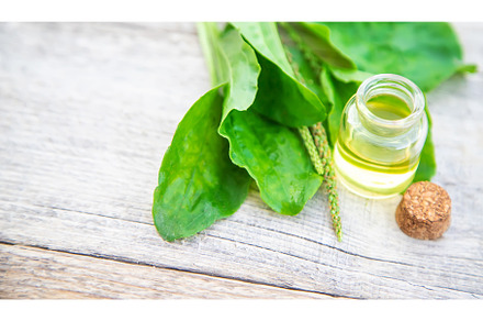 Plantain extract in a small bottle, a Nature Photo by yanadjana
