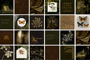 The Naturalist Social Media Bundle, a Social Media Template by The Flossy Finch (Thumbnail 20 of 22)