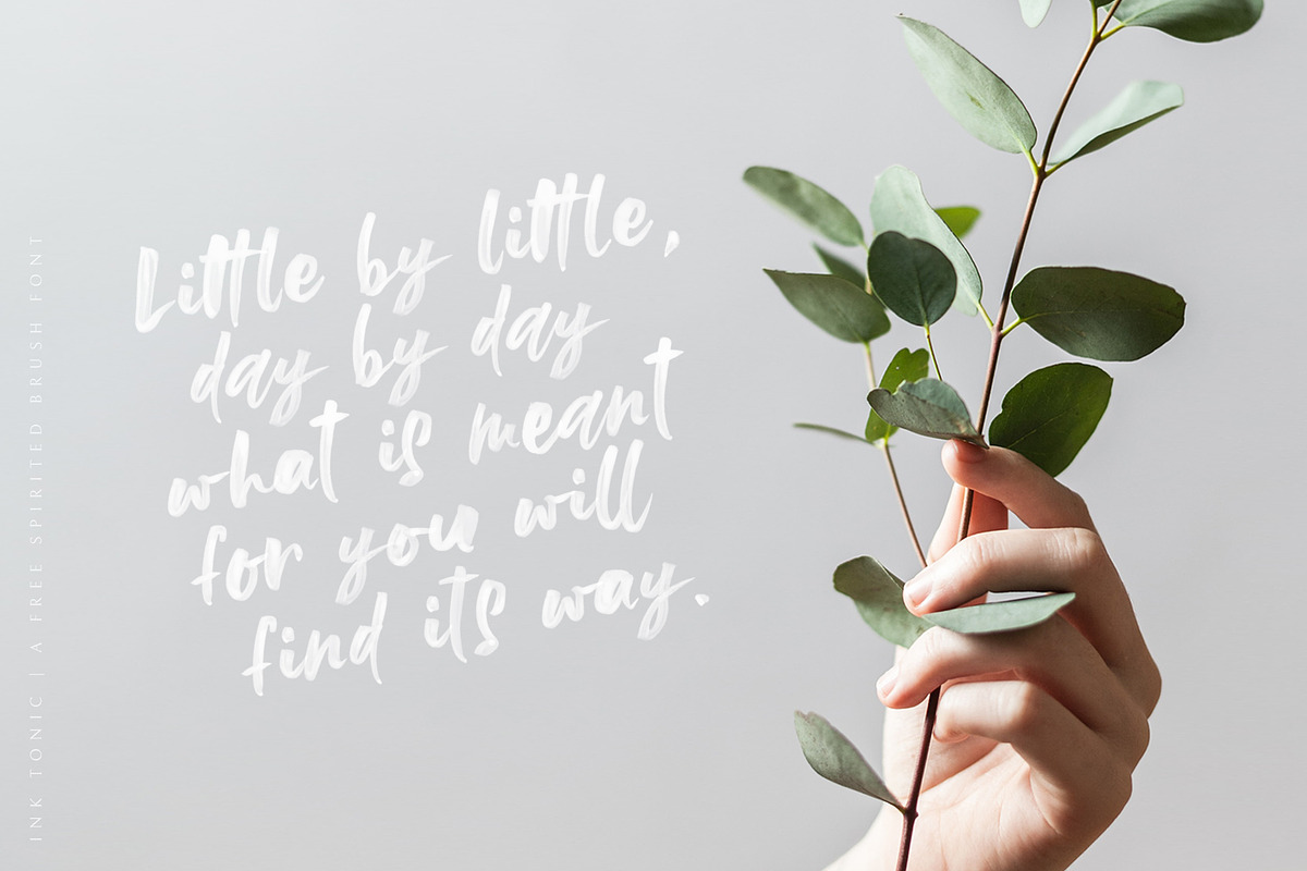 Ink Tonic | A SVG Brush Font, a Script Font by Ayca Atalay (Photo 8 of 21)
