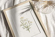Wildflowers. Watercolor collection, an Illustration by annartdreams (Thumbnail 3 of 14)