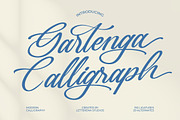 Gartenya Calligraph Modern Font, a Script Font by Letterena Studios Script (Thumbnail 1 of 19)