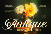 Stovina, a Script Font by Burntilldead (Thumbnail 3 of 12)
