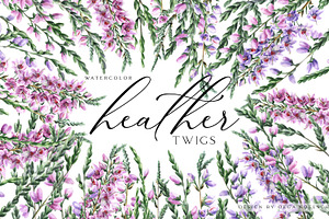 Watercolor Heather illustrations, an Illustration by Olga Koelsch