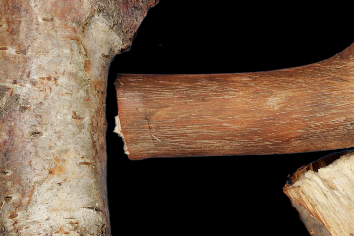 Dry Twigs Font, a Sans Serif Font by Handmadefont (Photo 3 of 7)