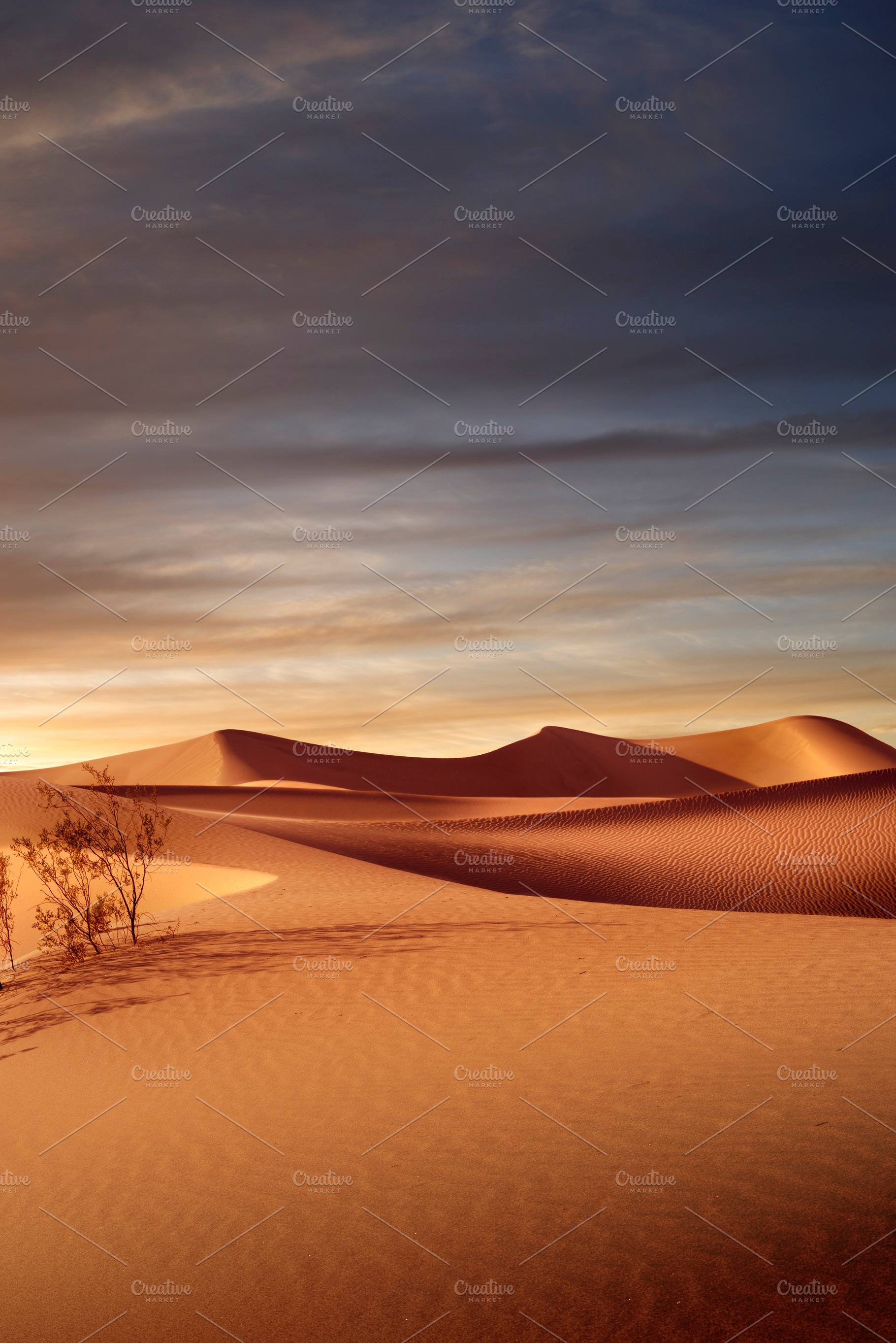 sunset dunes, a Background Photo by dmitryersler