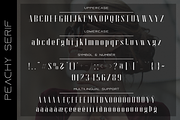 Peachy Font Duo, a Serif Font by GlitzyGrapix (Thumbnail 19 of 21)