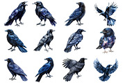 Watercolor Ravens Clipart, an Illustration by SinaCreation (Thumbnail 2 of 5)