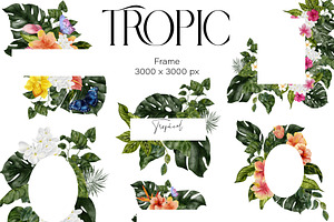 Tropic. Watercolor Graphic