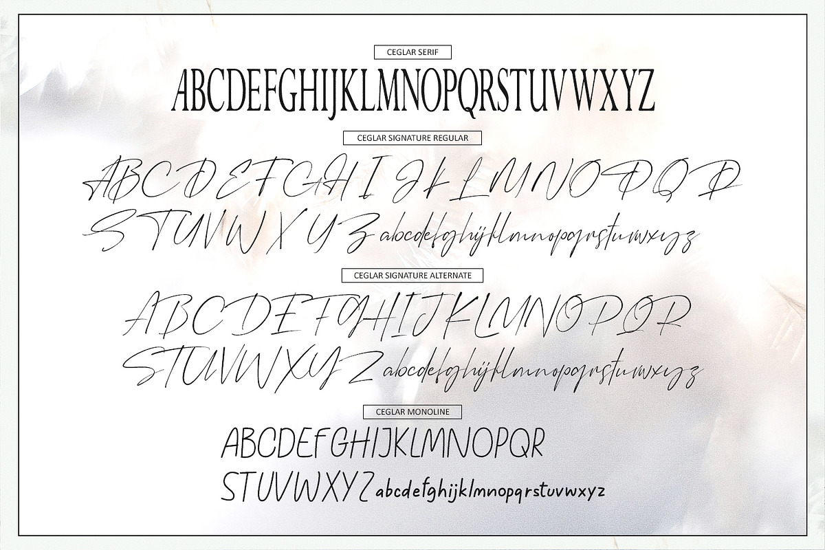Ceglar, a Serif Font by Black Junst (Photo 27 of 35)