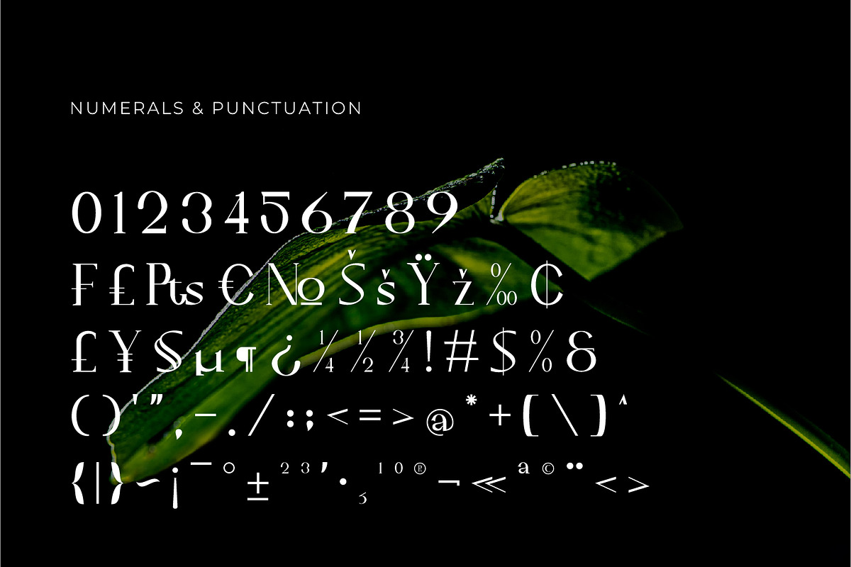 Leubrik - Serif Typeface Font, a Serif Font by Rishsketch (Photo 13 of 15)
