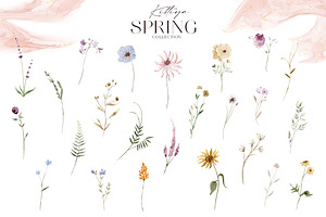 Spring Flower Collection