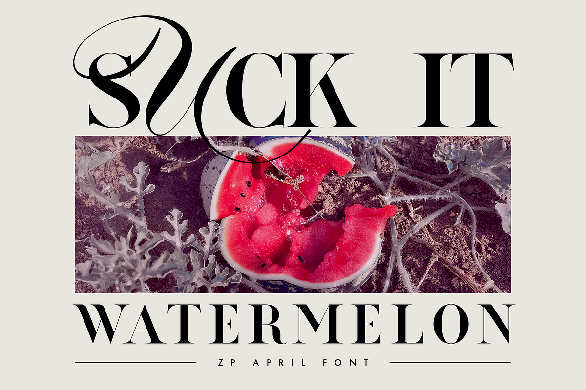 ZP APRIL - Luxury Hybrid Font, a Script Font by Zebra Press (Photo 2 of 13)