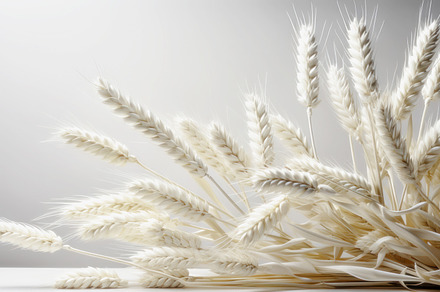 Decorative background with white spi, an Abstract Photo by Perpis