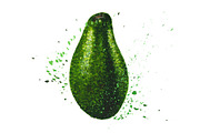 Hand-drawn watercolor Avocado, a Food Illustration by Margo Miller (Thumbnail 7 of 12)