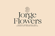 grotesis | Modern Minimalism, a Serif Font by InkwellTypeCo (Thumbnail 4 of 17)