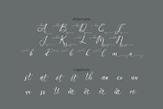 Barestan - Modern Signature Script, a Script Font by Rishsketch (Thumbnail 11 of 13)