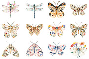 Botanical Floral Luna Moth, an Illustration by CitraGraphics (Thumbnail 5 of 5)