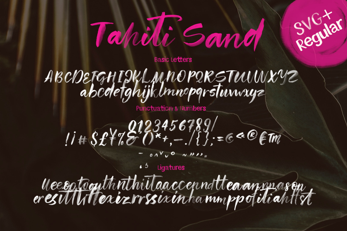 Tahiti Sand. Fonts & Graphics., a Script Font by Red Ink (Photo 20 of 23)