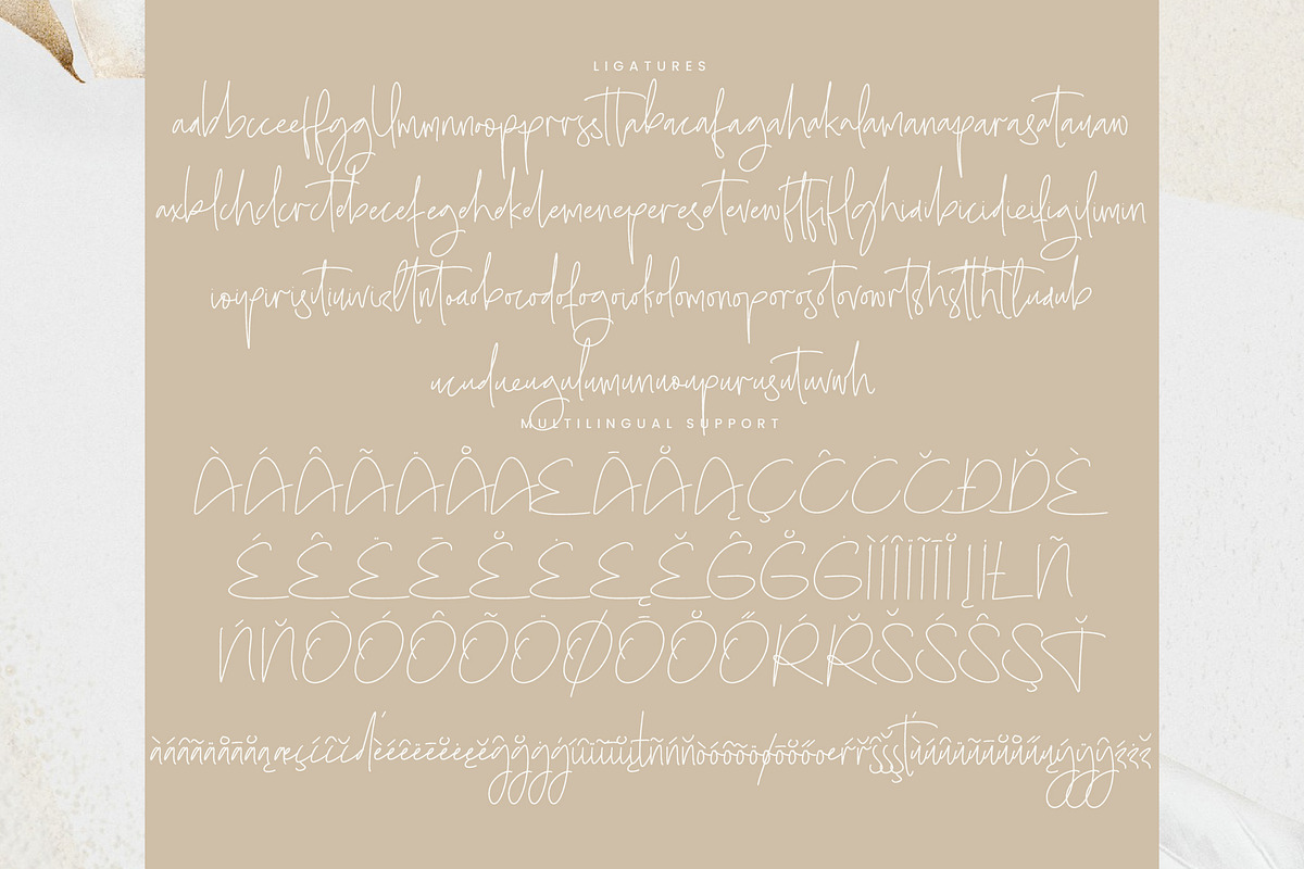 Sharottens Monoline Script, a Script Font by operatype.co (Photo 15 of 15)
