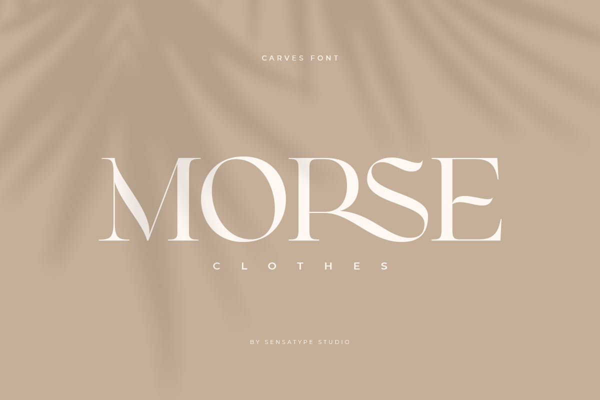 CARVES - Modern Display Font, a Sans Serif Font by Sensatype (Photo 11 of 20)
