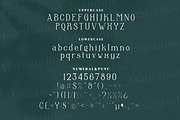 Anbittah Serif Fonts, a Serif Font by mahstudios (Thumbnail 11 of 13)