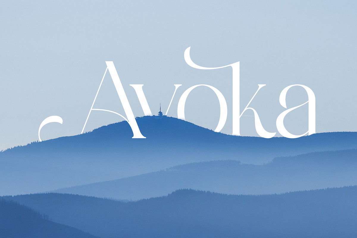 Avakine - Modern Ligature Typface, a Serif Font by AnnofaType (Photo 4 of 8)