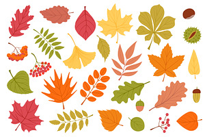 Cartoon autumn leaves. Fallen, an Object Illustration by YummyBuum