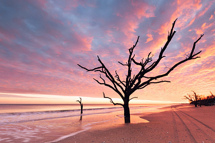 Sunset featuring bay, beach, and botany, a Nature Photo by khoroshkov