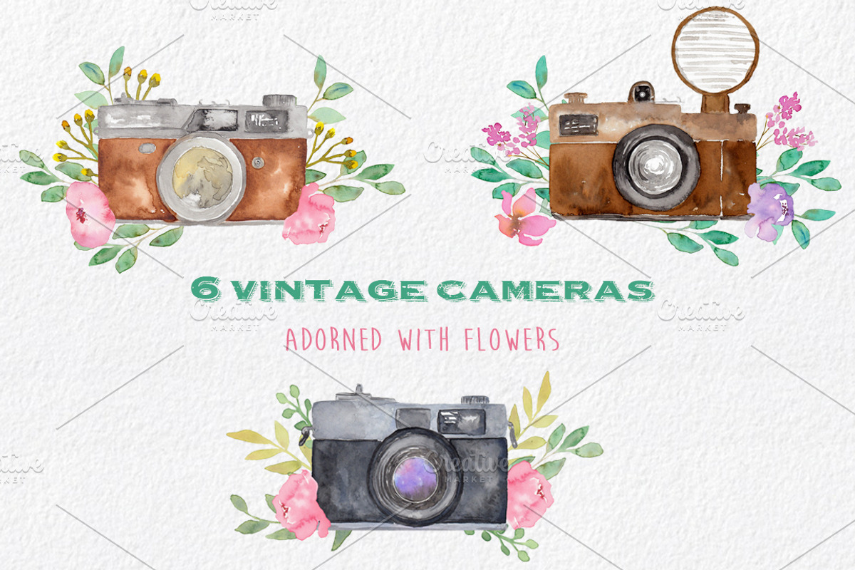 Vintage Cameras & Flowers Clipart, a Decorative Illustration by MaraquelaStudio (Photo 2 of 6)