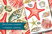 Vector seashells + cards + patterns, a Decorative Illustration by ...
