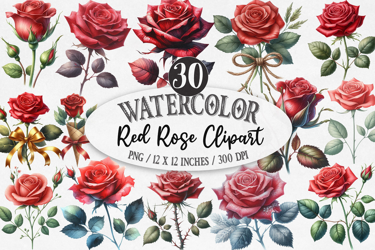 Watercolor Red Rose Clipart, an Illustration by Designking (Photo 1 of 5)