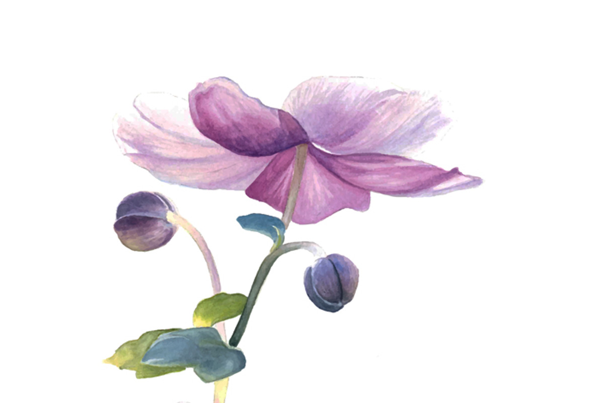 watercolour flowers, a Graphic by Verlena's Corner