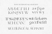 Classy Elegant Serif - Louisbele, a Serif Font by Shakira Studio (Thumbnail 10 of 10)