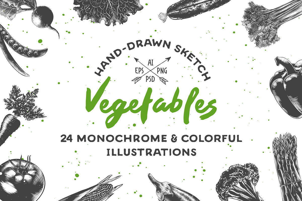 Collection of hand-drawn vegetables, a Food Illustration by Akimo Mia (Photo 1 of 5)