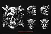 10 Bundle Dark Art Skull Insect, an Illustration by Morspective (Thumbnail 3 of 7)