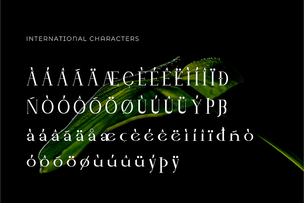 Leubrik - Serif Typeface Font, a Serif Font by Rishsketch (Photo 14 of 15)
