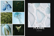 Cool nature | 325 stock photos, a Background Photo by Tale.Haus (Thumbnail 11 of 19)