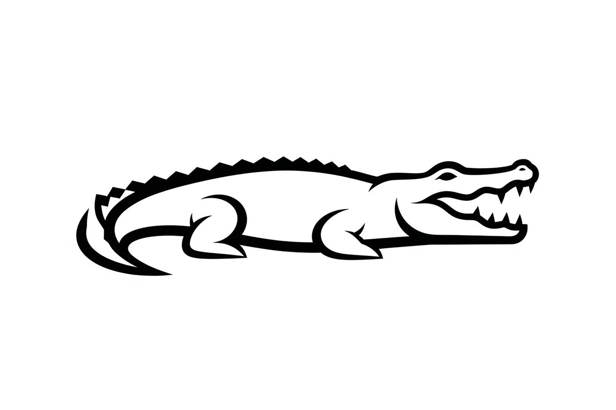 Crocodile Alligator Vector Bundle, an Illustration by jahid234 (Photo 7 of 51)