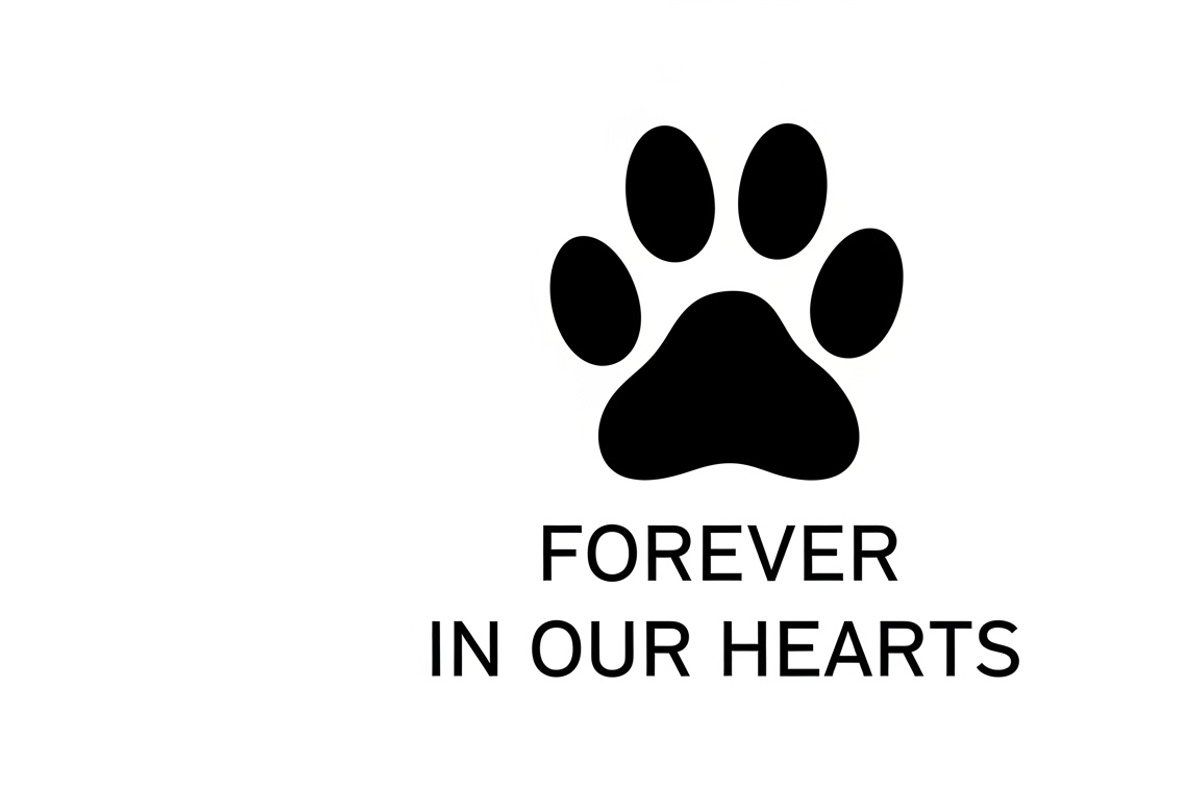 Heartfelt paw print memorial plaque, an Illustration by Amazin_art (Photo 20 of 32)